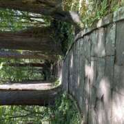 ヒメ日記 2025/07/28 10:31 投稿 井上 熟らぶ