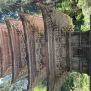 ヒメ日記 2025/08/15 10:20 投稿 井上 熟らぶ