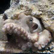 井上 連休最終日 熟らぶ