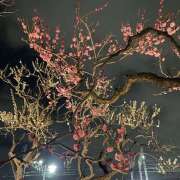 井上 今日は… 熟らぶ