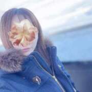 ヒメ日記 2024/12/30 13:18 投稿 藤川美嘉 お姉さんCLUB