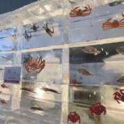 ヒメ日記 2025/02/08 15:19 投稿 藤川美嘉 お姉さんCLUB