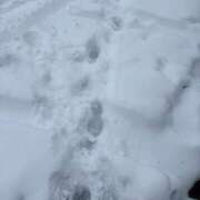 ヒメ日記 2025/03/18 12:21 投稿 藤川美嘉 お姉さんCLUB