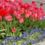 ヒメ日記 2025/05/18 18:33 投稿 藤川美嘉 お姉さんCLUB