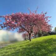 ヒメ日記 2025/05/27 17:19 投稿 藤川美嘉 お姉さんCLUB