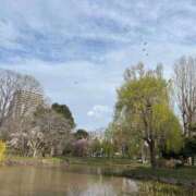 ヒメ日記 2025/06/01 15:27 投稿 藤川美嘉 お姉さんCLUB