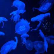 ヒメ日記 2025/07/20 17:21 投稿 藤川美嘉 お姉さんCLUB