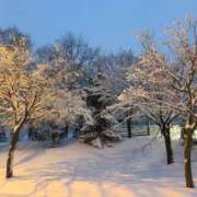 ヒメ日記 2025/12/11 17:42 投稿 藤川美嘉 お姉さんCLUB