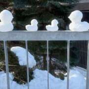 ヒメ日記 2025/12/18 17:20 投稿 藤川美嘉 お姉さんCLUB