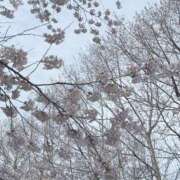 ヒメ日記 2026/03/02 16:48 投稿 藤川美嘉 お姉さんCLUB