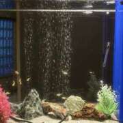 ヒメ日記 2026/03/05 16:36 投稿 藤川美嘉 お姉さんCLUB