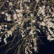 ヒメ日記 2026/04/01 19:12 投稿 藤川美嘉 お姉さんCLUB