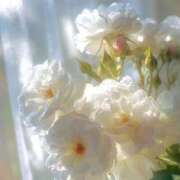 ヒメ日記 2026/04/10 12:43 投稿 藤川美嘉 お姉さんCLUB