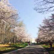 ヒメ日記 2026/04/26 13:21 投稿 藤川美嘉 お姉さんCLUB