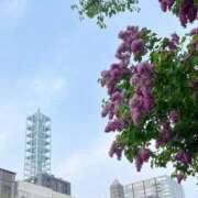 ヒメ日記 2026/05/23 13:19 投稿 藤川美嘉 お姉さんCLUB