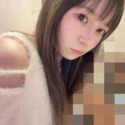 ヒメ日記 2025/11/05 11:06 投稿 はな The White