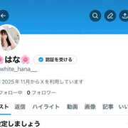 ヒメ日記 2025/11/06 00:00 投稿 はな The White