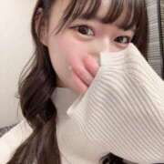 ヒメ日記 2025/12/16 13:42 投稿 はな The White