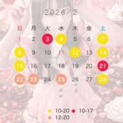 ヒメ日記 2026/01/27 13:48 投稿 はな The White