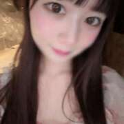 ヒメ日記 2026/02/12 22:33 投稿 はな The White