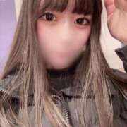 ヒメ日記 2026/02/22 22:31 投稿 はな The White