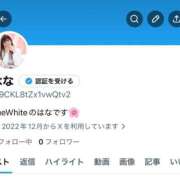 ヒメ日記 2026/04/02 21:41 投稿 はな The White