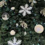 ヒメ日記 2024/12/18 17:02 投稿 来栖るな AJ DOLLS(エージェイドールズ)