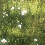 ヒメ日記 2026/03/08 17:22 投稿 来栖るな AJ DOLLS(エージェイドールズ)