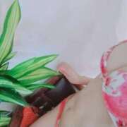 ヒメ日記 2026/03/08 12:01 投稿 吉川　あまね アロマキュアシス