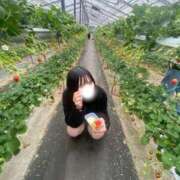 ヒメ日記 2025/03/17 16:43 投稿 あさひ コスプレアカデミー