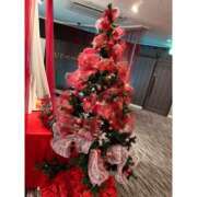 ヒメ日記 2024/12/15 09:07 投稿 みみ 僕らのぽっちゃリーノin大宮