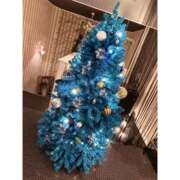 ヒメ日記 2024/12/14 18:08 投稿 みみ 僕らのぽっちゃリーノin春日部