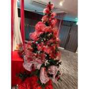 ヒメ日記 2024/12/15 08:30 投稿 みみ 僕らのぽっちゃリーノin春日部