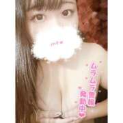 ヒメ日記 2024/12/21 15:30 投稿 みみ 僕らのぽっちゃリーノin春日部