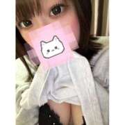 ヒメ日記 2025/02/06 15:25 投稿 みみ 僕らのぽっちゃリーノin春日部