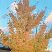 ヒメ日記 2024/12/10 13:21 投稿 宇野えみり 禁断のメンズエステR-18堺・南大阪店