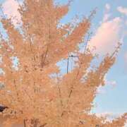 ヒメ日記 2024/12/14 12:06 投稿 宇野えみり 禁断のメンズエステR-18堺・南大阪店