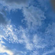 ヒメ日記 2024/12/17 13:57 投稿 宇野えみり 禁断のメンズエステR-18堺・南大阪店