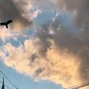 ヒメ日記 2024/12/20 22:36 投稿 宇野えみり 禁断のメンズエステR-18堺・南大阪店