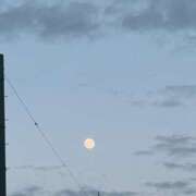 ヒメ日記 2025/02/12 17:18 投稿 宇野えみり 禁断のメンズエステR-18堺・南大阪店