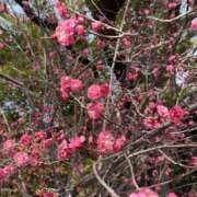 ヒメ日記 2025/02/14 15:12 投稿 宇野えみり 禁断のメンズエステR-18堺・南大阪店