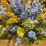 ヒメ日記 2025/03/13 13:27 投稿 宇野えみり 禁断のメンズエステR-18堺・南大阪店