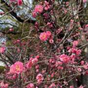 ヒメ日記 2025/03/19 13:12 投稿 宇野えみり 禁断のメンズエステR-18堺・南大阪店