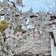 ヒメ日記 2025/04/02 14:21 投稿 宇野えみり 禁断のメンズエステR-18堺・南大阪店