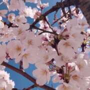 ヒメ日記 2025/04/09 12:48 投稿 宇野えみり 禁断のメンズエステR-18堺・南大阪店