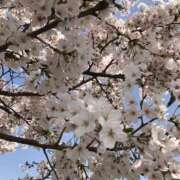 ヒメ日記 2025/04/10 12:06 投稿 宇野えみり 禁断のメンズエステR-18堺・南大阪店