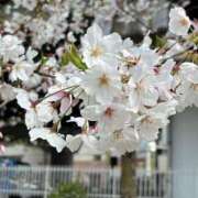 ヒメ日記 2025/04/12 17:03 投稿 宇野えみり 禁断のメンズエステR-18堺・南大阪店