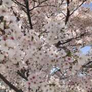 ヒメ日記 2025/04/16 13:57 投稿 宇野えみり 禁断のメンズエステR-18堺・南大阪店