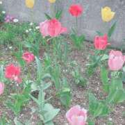 ヒメ日記 2025/04/26 17:06 投稿 宇野えみり 禁断のメンズエステR-18堺・南大阪店