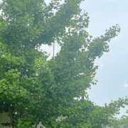 ヒメ日記 2025/05/10 12:06 投稿 宇野えみり 禁断のメンズエステR-18堺・南大阪店